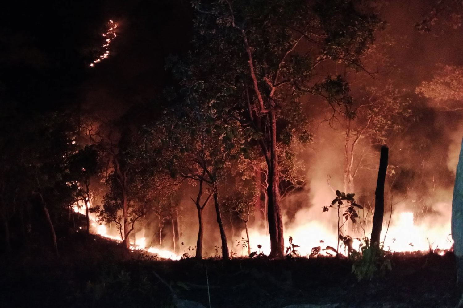 Доброволец погиб в результате несчастного случая после утомительного дня борьбы с лесными пожарами