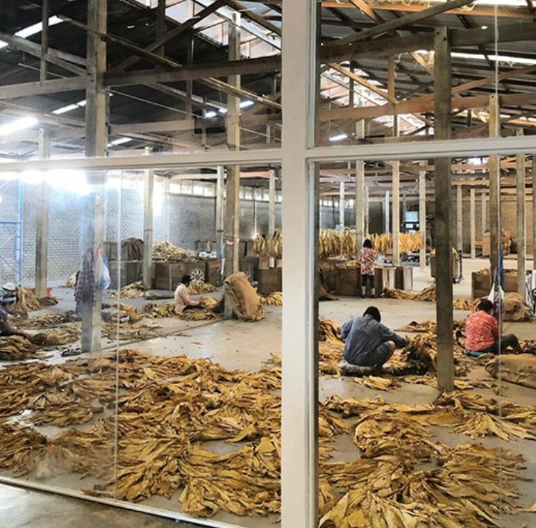 Кафе в Чиангмае обвинили в создании "человеческого зоопарка’ на фоне критики