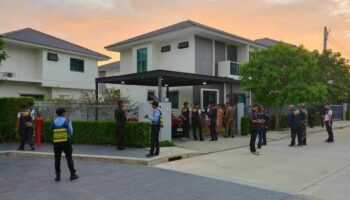 Кто такая дерзкая обезьянка? Полиция Пхукета бесится из-за пропавшего орангутанга