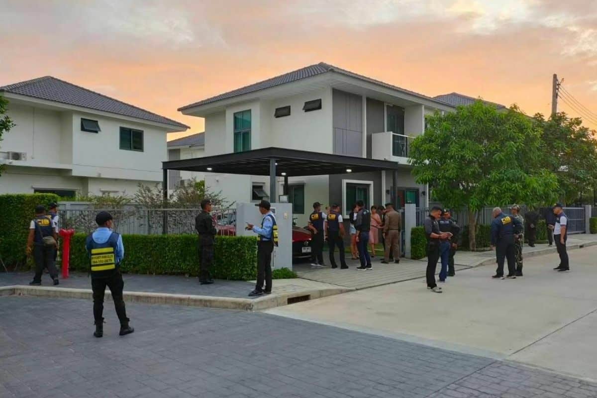 Кто такая дерзкая обезьянка? Полиция Пхукета бесится из-за пропавшего орангутанга