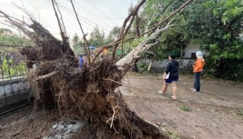 Летний шторм сеет хаос в районах Убонратчатани