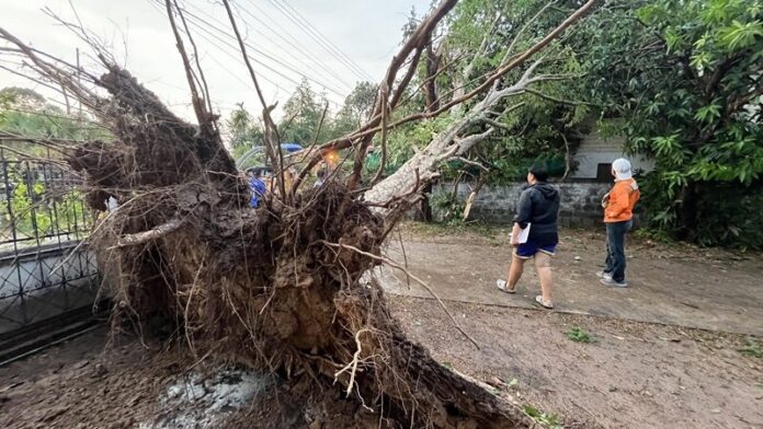 Летний шторм сеет хаос в районах Убонратчатани