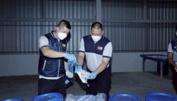 На складе в Самут Сахоне обнаружен незаконный ввоз свиных кишок из Китая