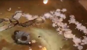 Освящение чудодейственной монеты Чокчай собирает большую толпу в Кампхаенг Пхете