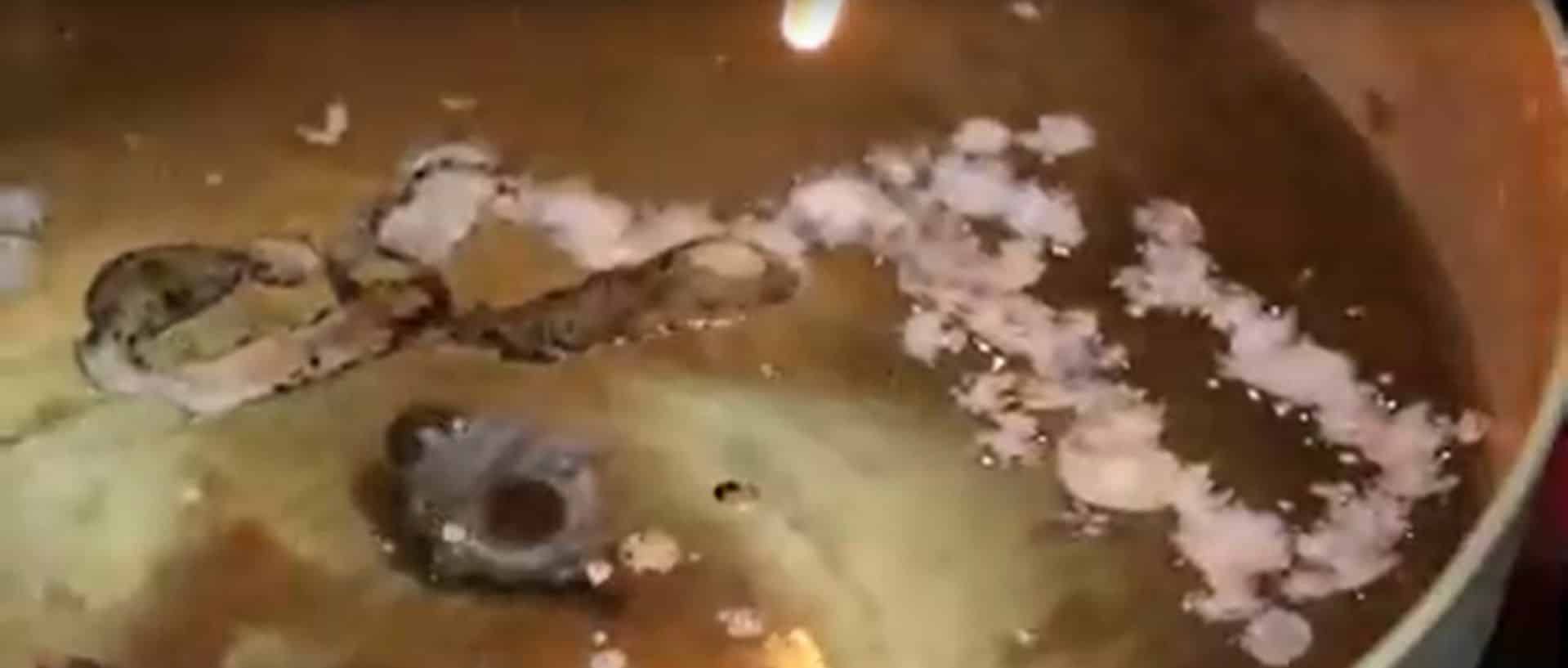 Освящение чудодейственной монеты Чокчай собирает большую толпу в Кампхаенг Пхете