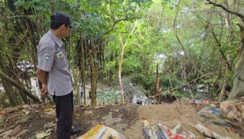 Пикап с рабочими упал под откос в Камале