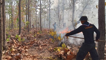 Пожары загрязняют Мэй Хонг Сон, обнаружена 61 очаг возгорания