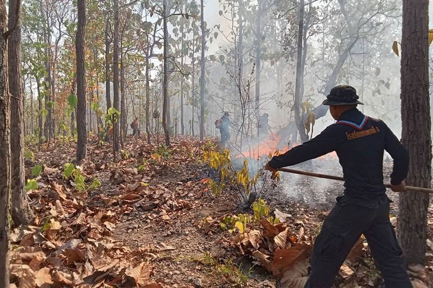 Пожары загрязняют Мэй Хонг Сон, обнаружена 61 очаг возгорания
