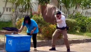 Полицейский спас женщину от роя пчел в знаменитом храме