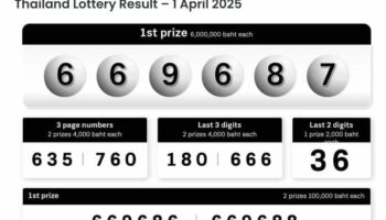 Предсказание картофельного выигрыша в лотерею приводит фанатов в восторг