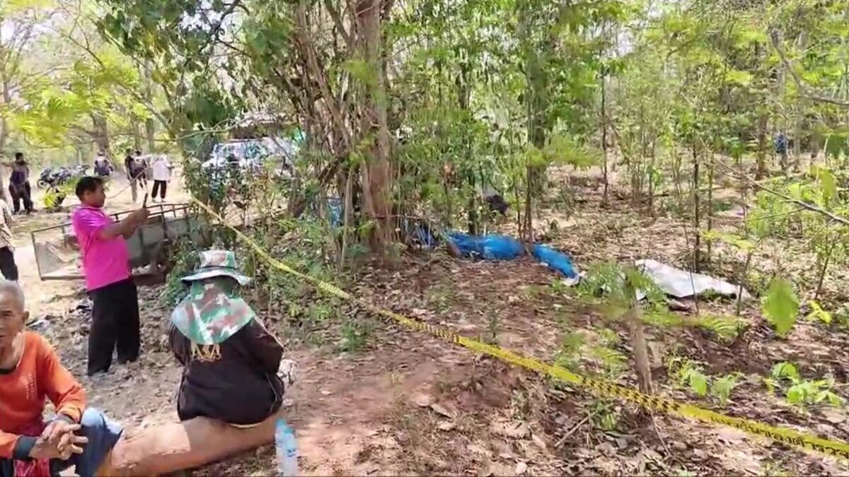 Работник лесного хозяйства погиб в результате несчастного случая с огнестрельным оружием в лесу Удонтхани