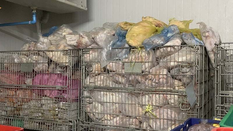 Рейд тайской полиции выявил незаконные свиные туши в Патхумтхани