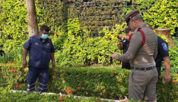 Россиянка разбилась насмерть, выпав из кондоминиума в Паттайе