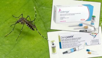 Сезон денге. Как обезопасить себя от лихорадки