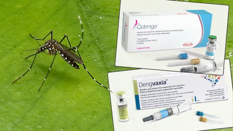 Сезон денге. Как обезопасить себя от лихорадки