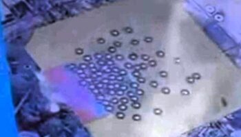 Сканирование показывает возможных выживших в глубине рухнувшего небоскреба в Бангкоке