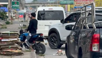 Суд оштрафовал мужчину на 10 000 бат за то, что он тащил собаку за мотоциклом