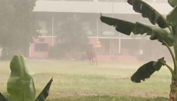 Таиланд готовится к летним штормам и проливным дождям