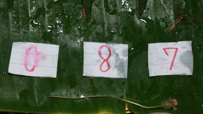 Таинственный паук предсказывает лотерейные номера в Анг Тхонге