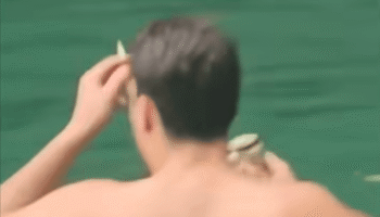 Туристы, курящие и пьющие в национальном парке, вызывают онлайн-гнев