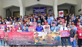 Фермеры выступают против плана импорта говядины из США