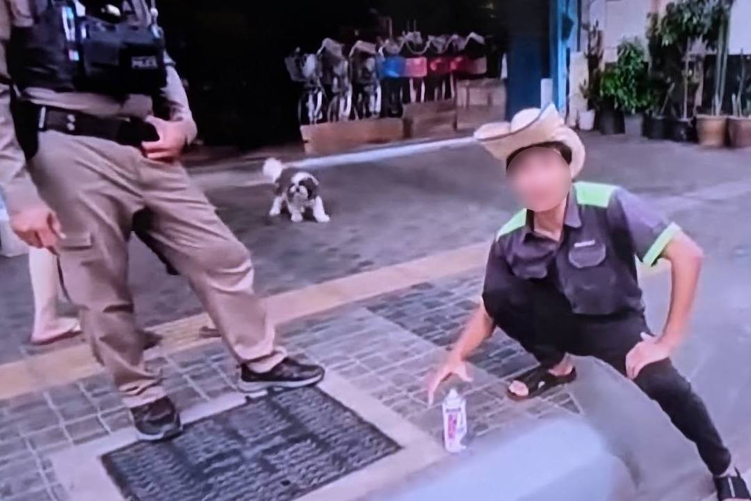 Автомобилист закрасил бордюр, запрещающий парковку, чтобы "помочь" продуктовому киоску привлечь покупателей