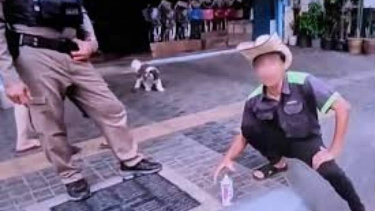 Автомобилист из Удонтхани оштрафован за перекраску запрещенного для парковки бордюра