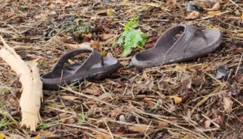 Беременная женщина и ее друг погибли от удара молнии в Сисакетской трагедии