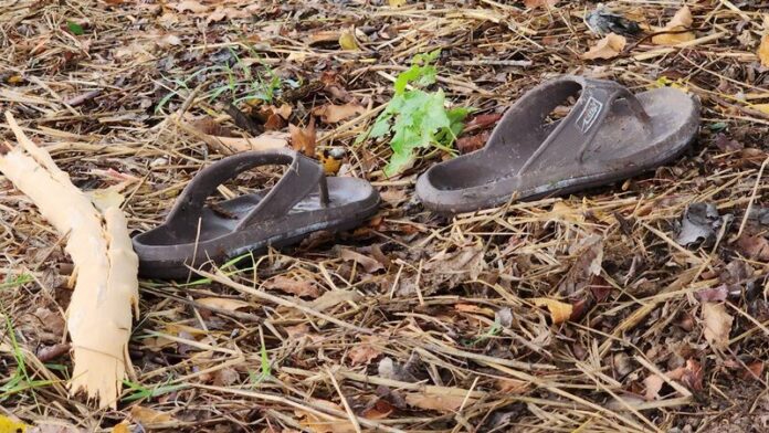 Беременная женщина и ее друг погибли от удара молнии в Сисакетской трагедии