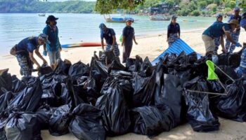 Более 750 кг мусора собрали на пляжном субботнике на Пхи-Пхи