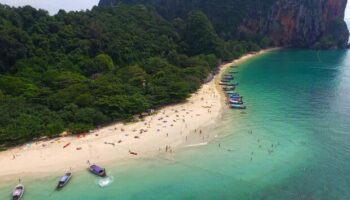 Бум рождаемости дюгоней? У берегов Краби замечены редкие морские обитатели