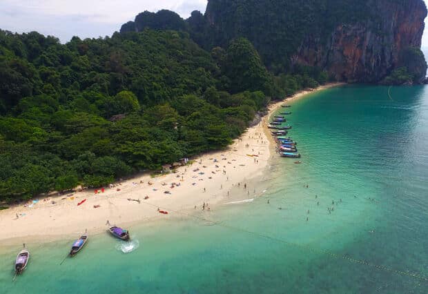 Бум рождаемости дюгоней? У берегов Краби замечены редкие морские обитатели