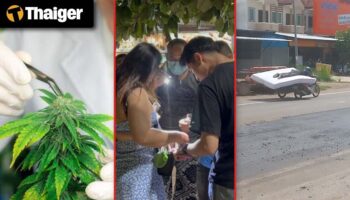 Видеоновости Таиланда | Таиланд введет обязательную медицинскую сертификацию на употребление каннабиса, Малайзия и Таиланд модернизируют трансграничную электросеть