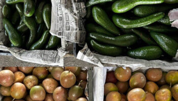 Вьетнамского бизнесмена поймали на контрабанде авокадо в Таиланде