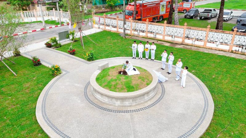 Дерево бодхи посадили в храме Чалонга в честь Короля