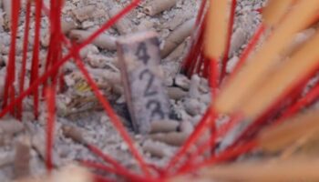 Жители ищут счастливые номера благовоний на церемонии Пхетчабун