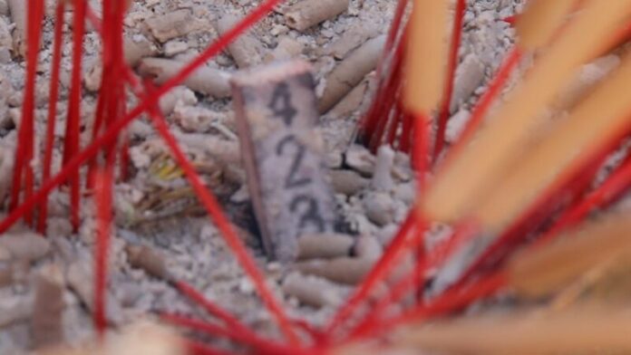 Жители ищут счастливые номера благовоний на церемонии Пхетчабун