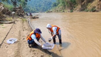 Загрязнение реки Кок вызывает опасения на севере Таиланда