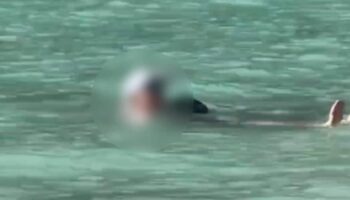 Иностранный турист сбежал от разъяренной толпы после нарушения правил национального парка Краби