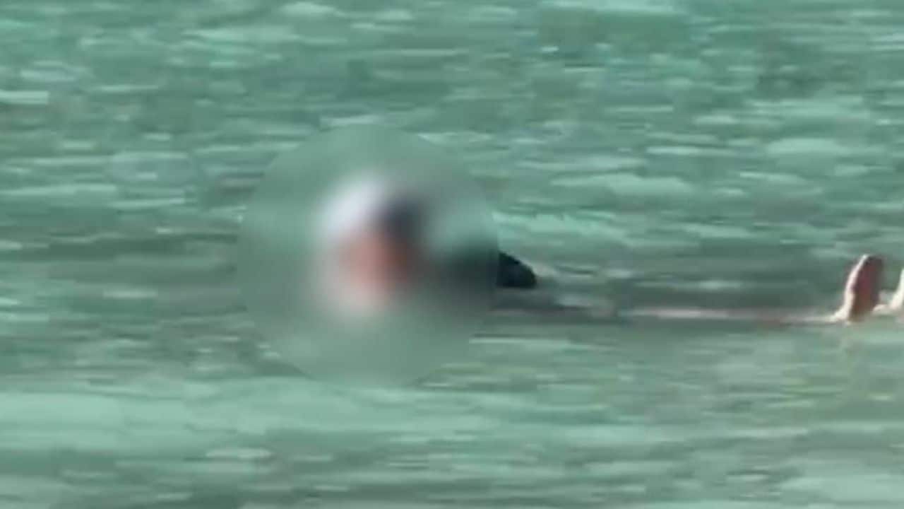 Иностранный турист сбежал от разъяренной толпы после нарушения правил национального парка Краби