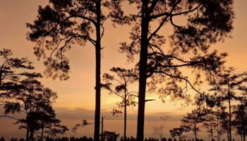 Канатная дорога Фу Крадуенг становится все ближе