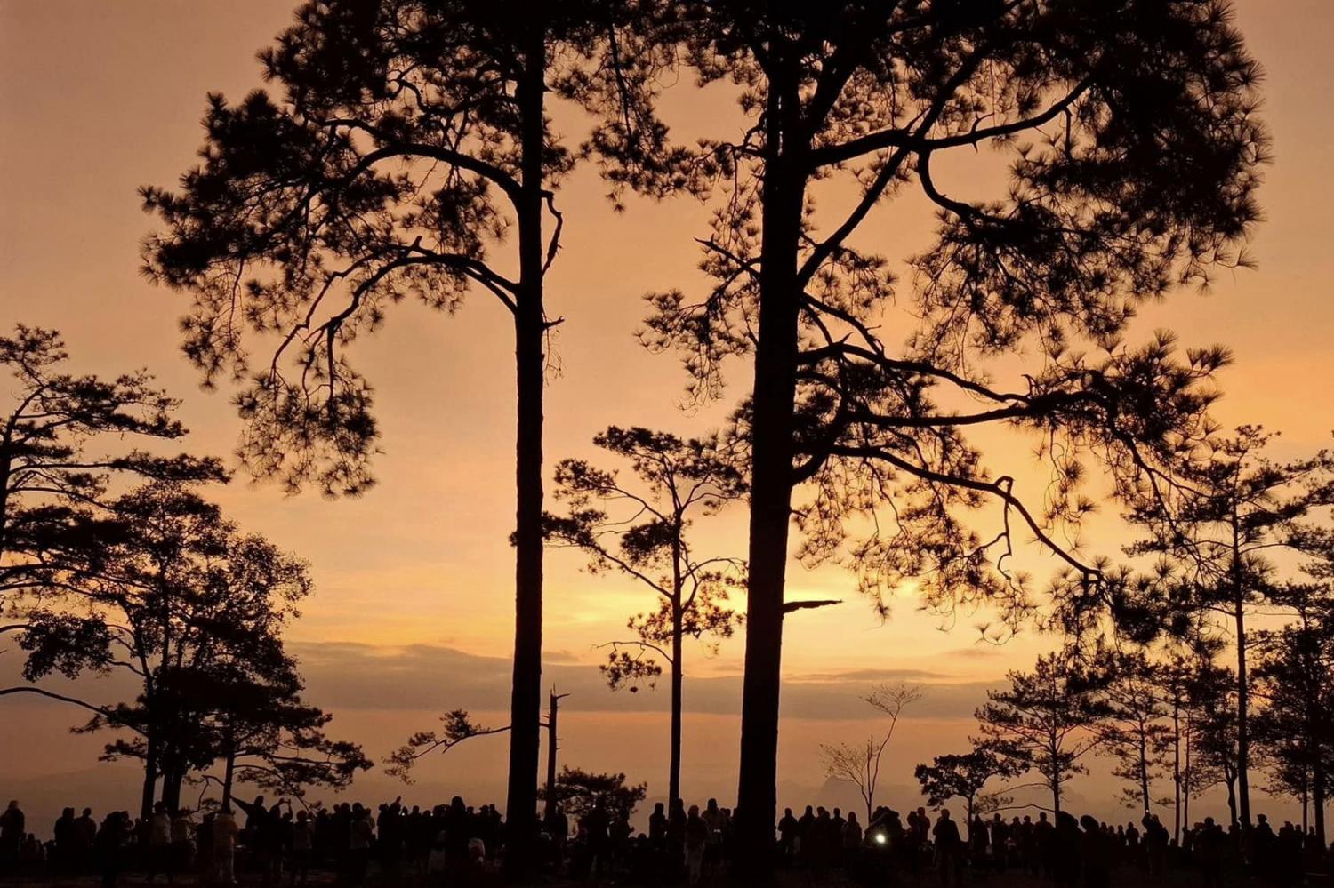 Канатная дорога Фу Крадуенг становится все ближе