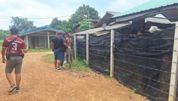 Мужчина арестован после смертельного нападения серпом из-за спора с соседями