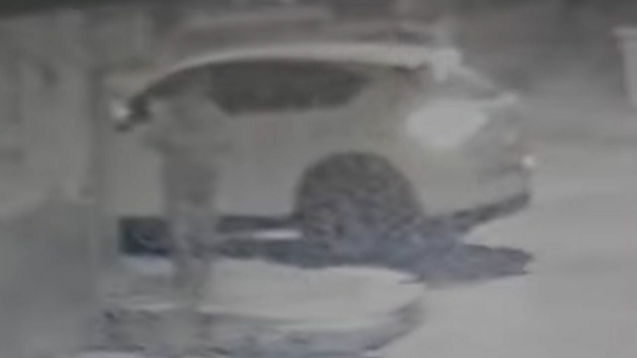 Мужчина решил испражняться на дороге общего пользования, несмотря на то, что рядом был туалет