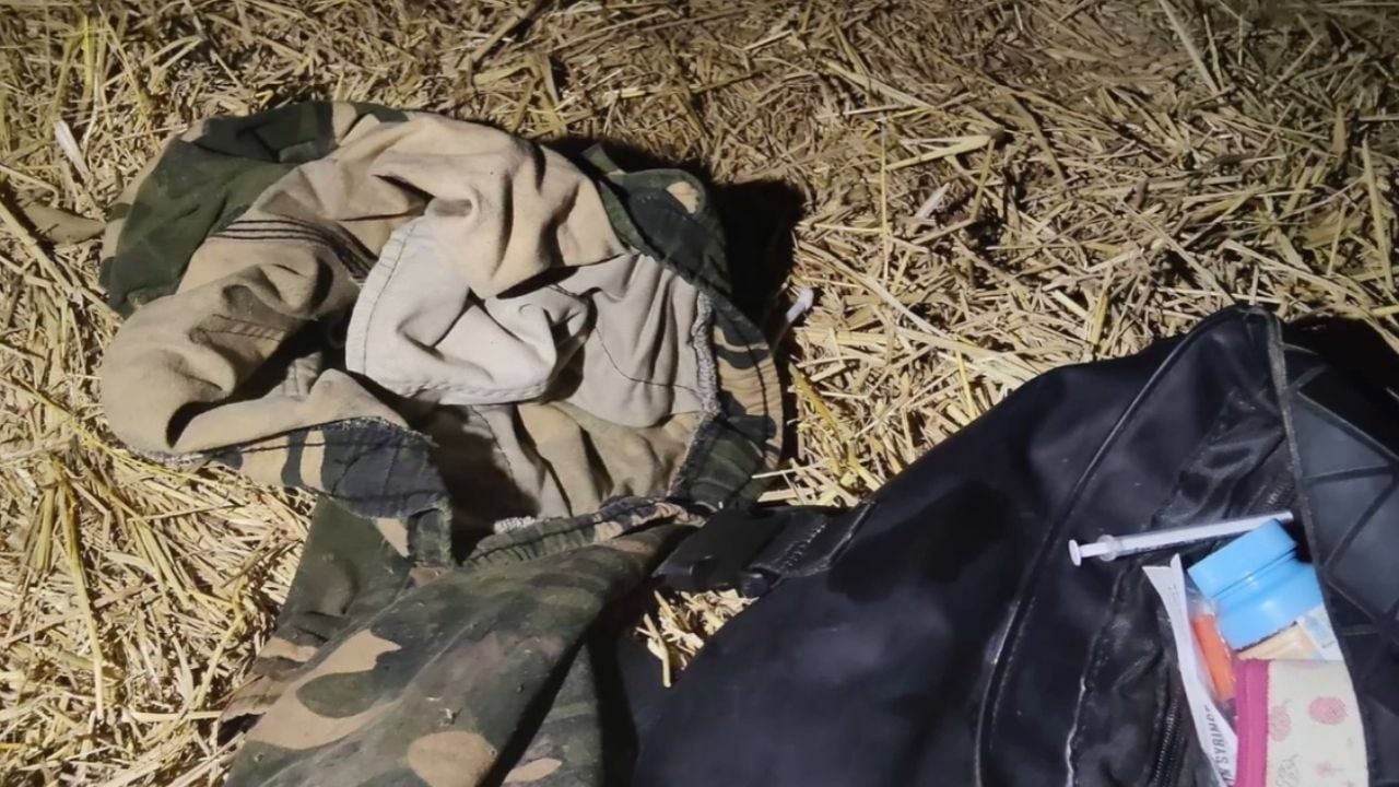 Наркомана арестовали за попытки секса с коровой и собакой