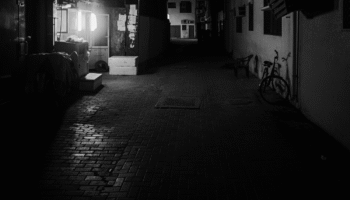 Поведение припозднившегося пассажира выводит водителя из себя