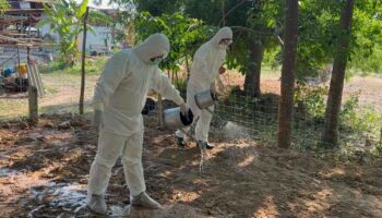 Подтвержден четвертый случай сибирской язвы