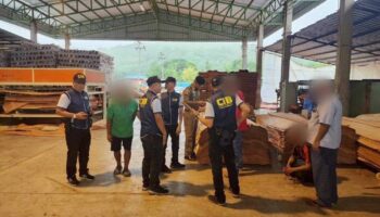 Полиция провела рейд по незаконной лесопилке, связанной с китайскими операторами, в Пхитсанулоке