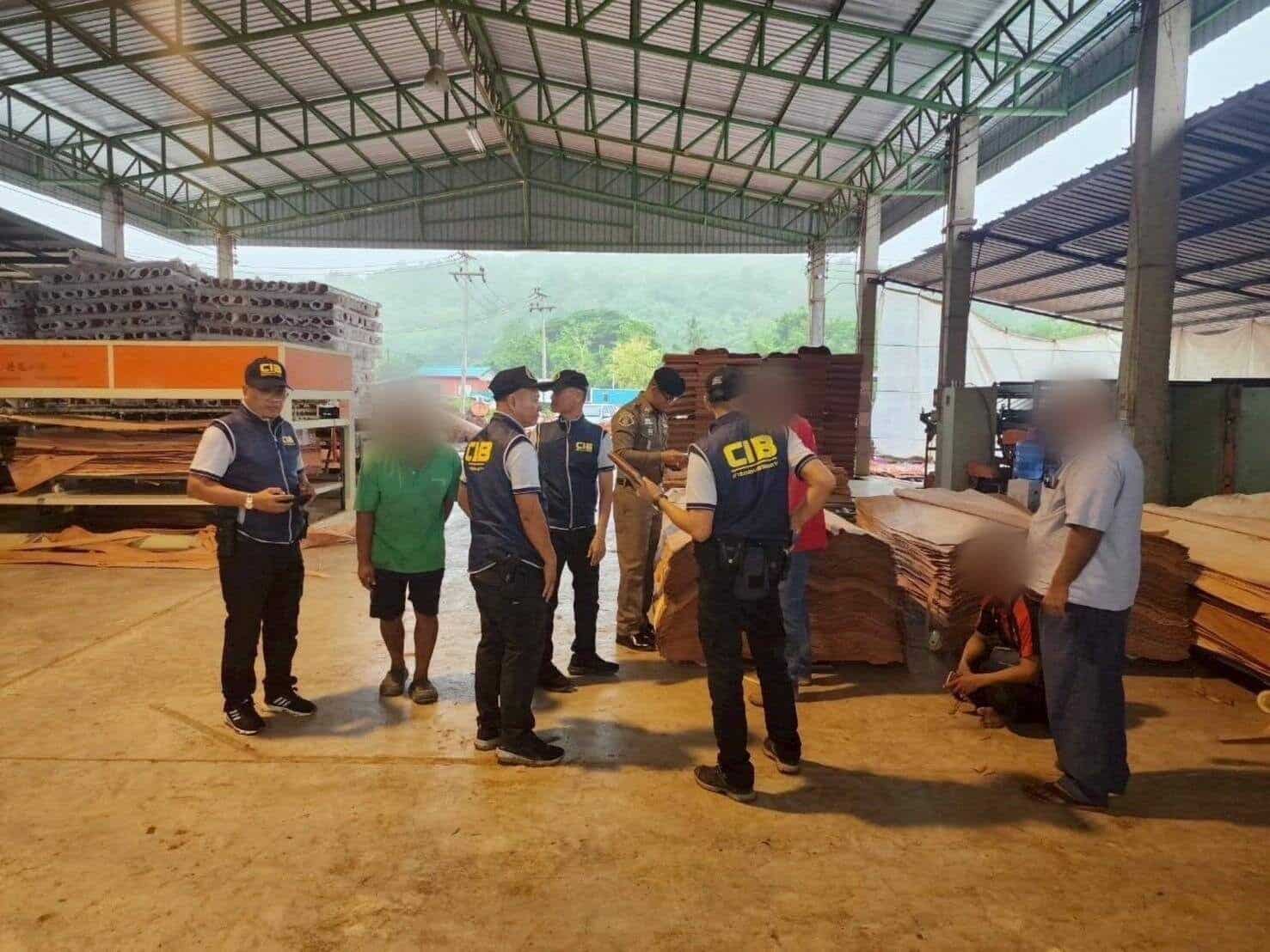 Полиция провела рейд по незаконной лесопилке, связанной с китайскими операторами, в Пхитсанулоке