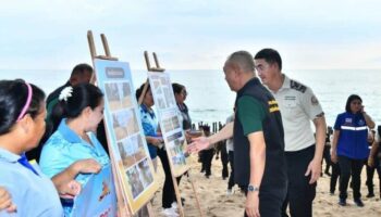 Пхукет борется с эрозией, а черепахи и дюгони возвращаются на родину